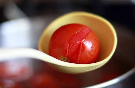 blanch tomatoes blanched tomato