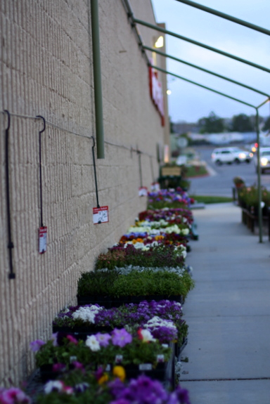home and garden home & garden