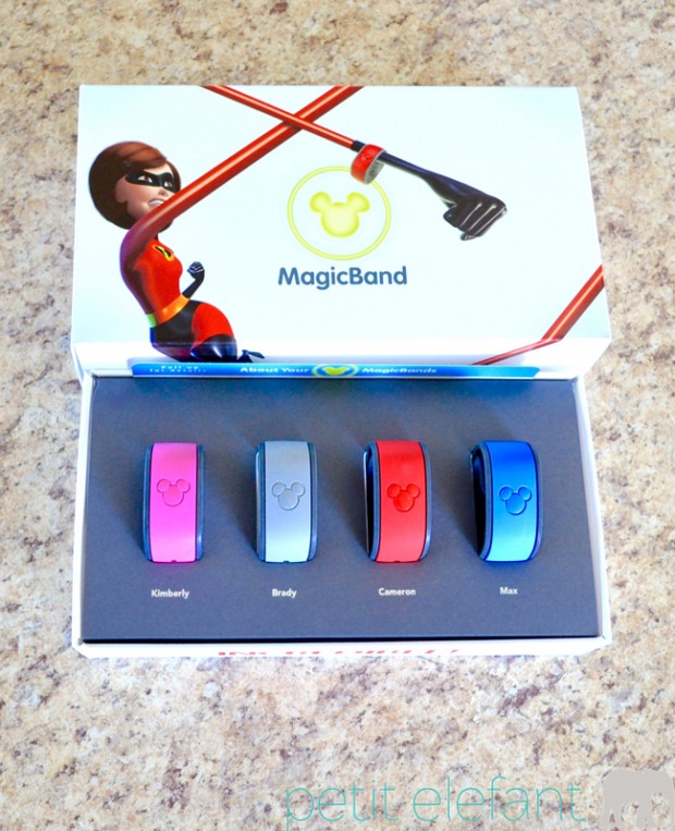 Disney World Planning Bands