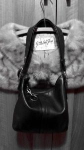 whats in my purse