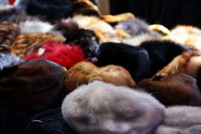 fur hat