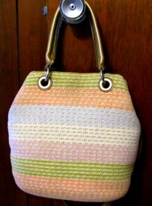 What's in your purse series