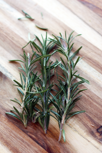 garden rosemary