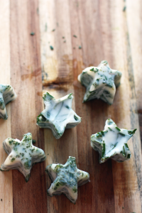 ice cube herbs