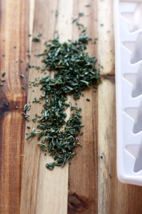 preserve garden herbs