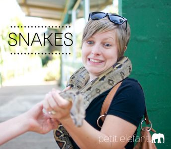 Snakes
