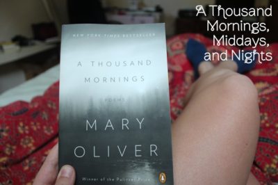 A Thousand Mornings
