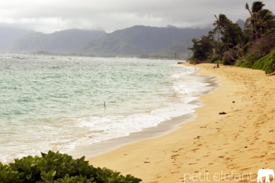hawaiian beaches