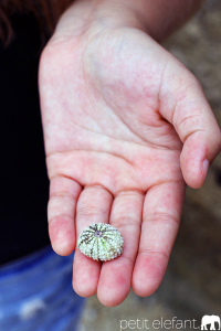 beach combing