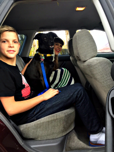 car for my family